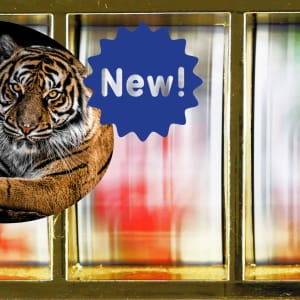 Relax Gaming vítá 2022 Tiger Kingdom Infinity Reels